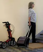 Zusätzliches Produktbild für Trolley-Tasche Shop-n-Go für Gemino 30/20