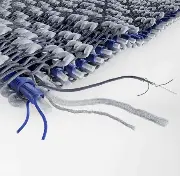 Bauerfeind Lumbotrain Rückenbandage Lady Zusätzliches Produktbild für Bauerfeind LumboTrain Lady/waisted Rückenbandage