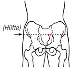 Symphysenmass