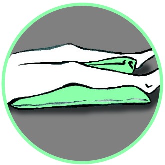 S.11 2