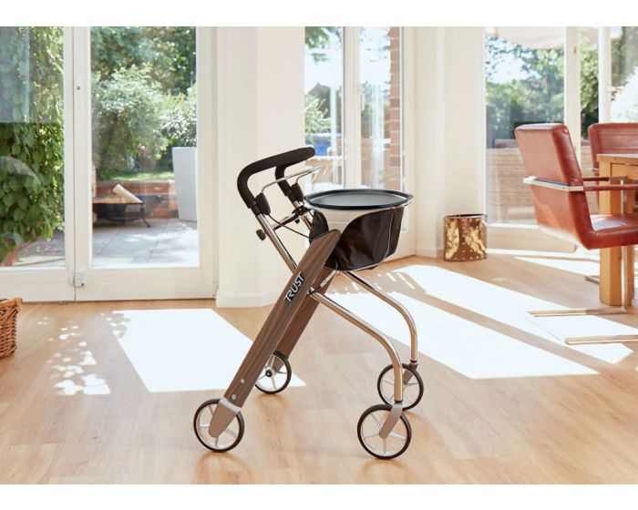 indoor rollator lets dream