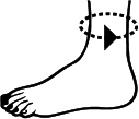 fussumfang